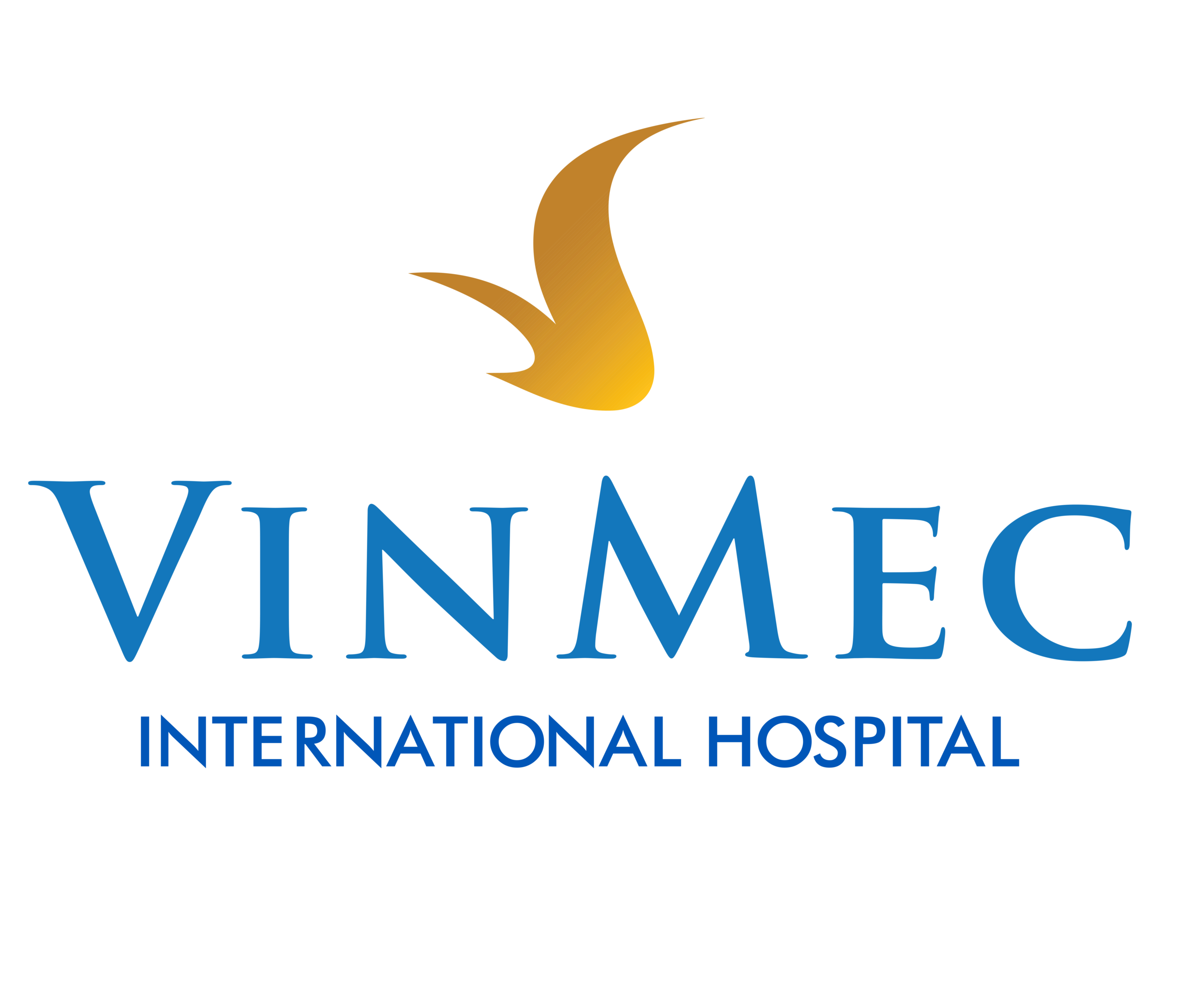 Vinmec International Hospital